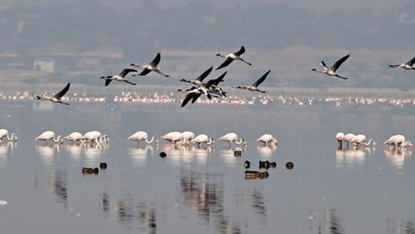 विज्ञान झलकियाँ: 7 जून, 2026
