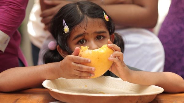 चेन्नई में आम का उत्सव: इस गर्मी में कहां पाएं जैविक किस्में