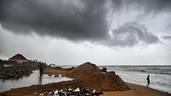 मूसलाधार बारिश से मिट्टी की नमी और नाइट्रोजन दोनों प्रभावित हो सकते हैं