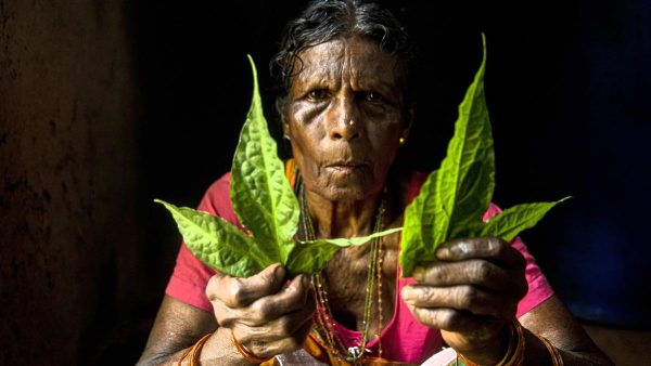 गोवा के वन्य व्यंजन: अस्सावरी कुलकर्णी ने आदिवासी संग्रहकर्ताओं से सीखा