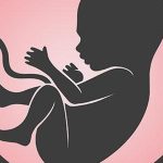 Indian scientists recreate key functions of human Placenta on chip