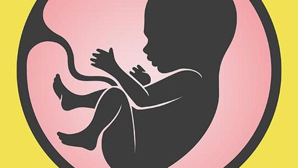 भारतीय वैज्ञानिकों ने मानव प्लेसेंटा के प्रमुख कार्यों को चिप पर पुनः निर्मित किया