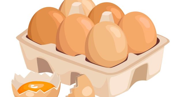 स्तंभ | बंगाल का अंडे का ग्रीष्मकाल