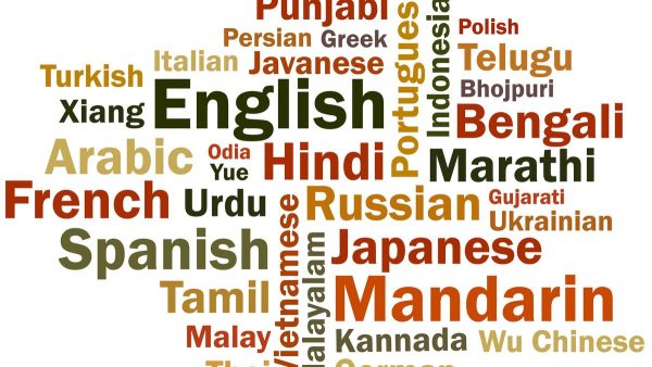 शिक्षा मंत्री को एक खुला पत्र