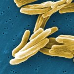 Science Snapshots: June 28, 2026