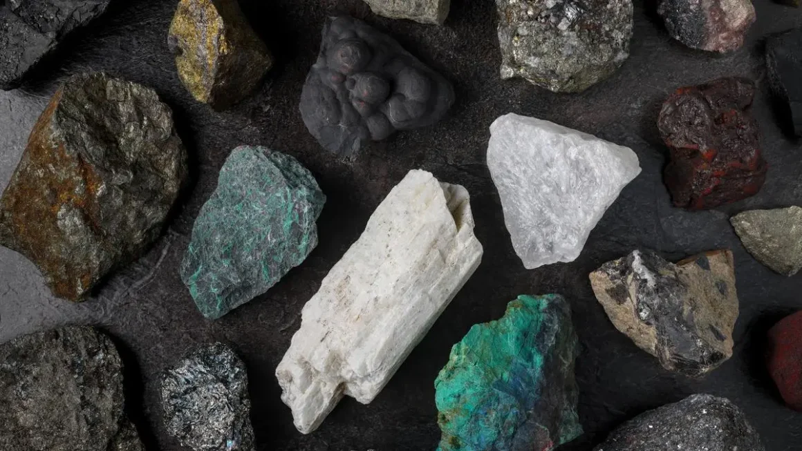 India, France discuss ways to boost cooperation in critical minerals sector
