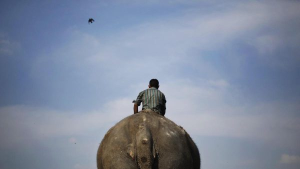 सेल्यूलाइड की कहानी: एक रोमांचक आविष्कार