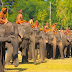 Elephant Festival in Surin, Thailand