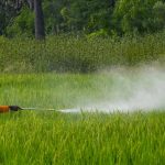One body, multiple pathways: where India is going wrong in regulating pesticide exposure