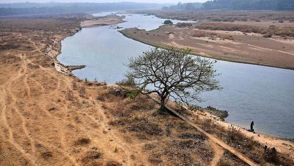 भारत की आर्थिक वृद्धि निर्भर है उसके नाजुक पर्यावरण की रक्षा पर