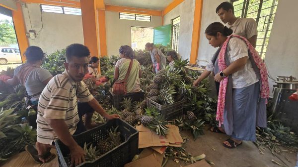 सड़क किनारे विक्रेता से निर्यातक बने: मेघालय के ‘संख्या वाले’ किसान मेहनत के फल से खुश