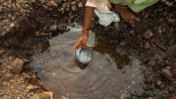 सूखे की स्थिति में मिट्टी के बैक्टीरिया में बढ़ता एंटीबायोटिक प्रतिरोध: नई रिसर्च से खुलासा