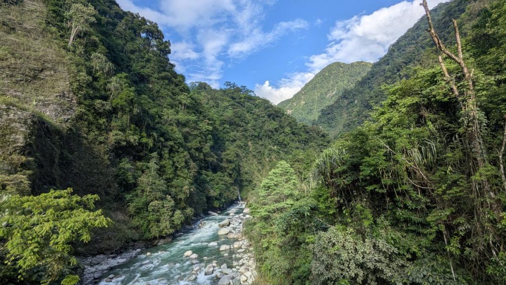यह नई वेबसाइट भारत के वृक्ष संपदा के ज्ञान को एक मंच पर समेटती है