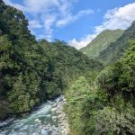 This new website integrates knowledge about India’s tree wealth into one platform