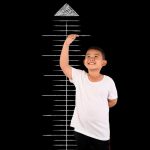 What decides your height?